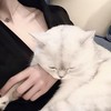 做梦 旋律 - DjSiqe&阿泽