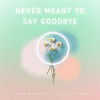 Never Meant to Say Goodbye - Evelyn Raye&EVAN WILDER