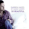 Something In The Sky (Album Version) - Darren Hayes