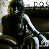 I Want You Here (Lost In Time Radio Edit) - The DQS