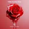 Willst Du diese Rose - Miguel Gaspar