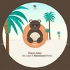 She Likes It (MoonSound Remix) - Pascal Junior