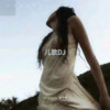 白龙马DJ版 - DJ.FLM&DJ. Hua Zai&嘉译啦