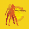 Boomerang (29 Palms Polysynthetic Remix) - CIRRUS