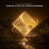 Higher State Of Consciousness - Alok&Firebeatz