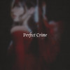 Perfect Crime (Explicit) - Chrissy Costanza