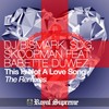 This Is Not a Love Song (SDG & Skoopman Remix) - DJ Bismark&SDG&Skoopman&Babette Duwez