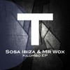 Struco Tronik (Original Mix) - Mr Wox&Sosa Ibiza