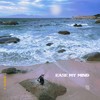 Ease My Mind - T Sleek