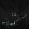 Aerosols - SOM