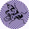 Break Away (Trav & Volta's Broken Promises Remix) - William Medagli&Thallulah