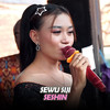 Sewu Siji (Live Version) - seshin