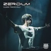 Your Kids Are Gonna Love It ! (Original Mix) - Zeridium&Siloka