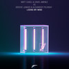 Losing My Mind (Extended Mix) - Matt Caseli&David Jimenez&Alexander Polinsky&Groove Junkies
