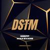 DSTM (Don't Stop The Music) (Radio Edit) - GSEPP&Max Evans