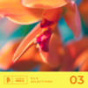 Peace Of Mind - Sonicvibe