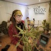 Sativa Live (En Vivo) - Prior