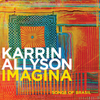 Correnteza (Album Version) - Karrin Allyson