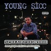 snippets from the album - Mr.Shadow