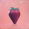 Pleasure! (Original Mix) - Luxxury