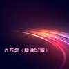 九万字 (旋律DJ版) - DJ.SmartD