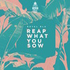 Reap What You Sow (Instrumental) - Natural High Music&Royal Blu