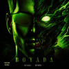 BOTADA (Explicit) - DJ CALI&DJ Ery