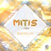 Beautiful Life (Original Mix) - MitiS&Mahi