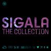Give Me Your Love - Sigala&John Newman&Nile Rodgers