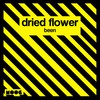 Been - Dried Flower