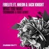 What You Want (Technikore & Suae Remix - Radio Edit) - Firelite&Technikore&Suae&Nheon&Jack Knight