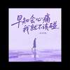 早知会心痛我就不该碰 (DJ豆仔伴奏) - 刘纯