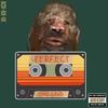 P.E.R.F.E.C.T (Explicit) - Yvng Gahd