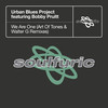 We Are One (feat. Bobby Pruitt) (Walter G Remix) - Urban Blues Project&Bobby Pruitt