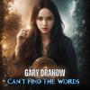 Can't Find The Words - Gary Dranow