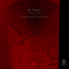 Zenith - A.Paul