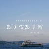 忘了你忘了我 - 杨友友