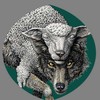 Obejas o Lobos (Remastered 2025|Explicit) - CB3