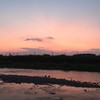 遠く離れた場所で - Takashi Sasaki