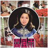 桃花又盛开 (演奏版) - 刘家昌