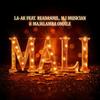 Mali (feat. ReaDaSoul, MJ Musician & Majalamba Omhle) - LA-AK&ReaDaSoul&Mj Musician&Majalamba Omhle