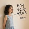 时间可否对我宽容点 - 刘皮特