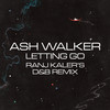 Letting Go (Ranj Kaler's D&B Remix) - Ash Walker&Andrew Ashong&Ranj Kaler