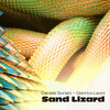 Sand Lizard - Daniele Soriani&Gianrico Leoni