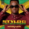Call Mi A Leader (VIP Radio Edit) - Stylo G&Shaggy&Cham