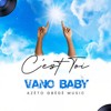 C'EST TOI - Vano Baby