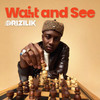 Nothing Is Free - Drizilik