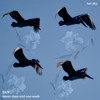 Seven Days and One Week - SKIY
