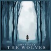 The Wolves (Koven Remix) - Amy Steele&Koven