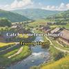 Catch a meteor shower - Truong Tham